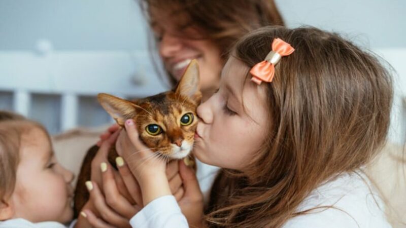 Cuidando com Amor: Como Oferecer Serviços de Cuidados com Animais de Estimação para Tornar a Vida deles Mais Feliz